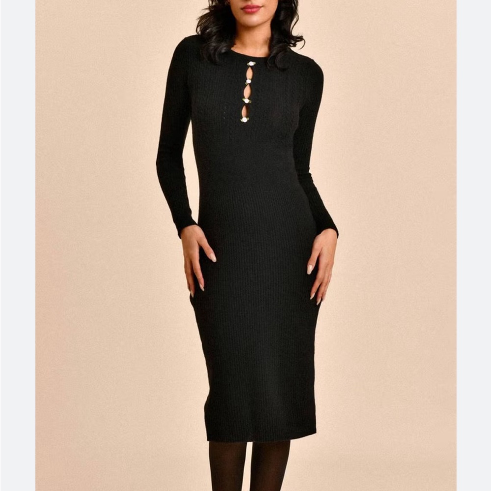 Rouje Kaila Dress 36